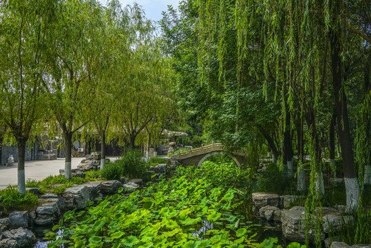 寧園河道景觀
