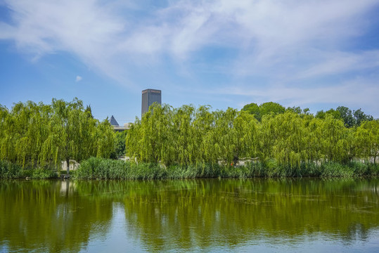 寧園湖泊景觀