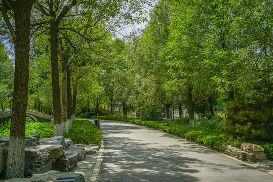 寧園景觀路