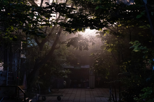 夜色路燈