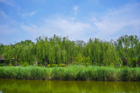 天津河岸景觀