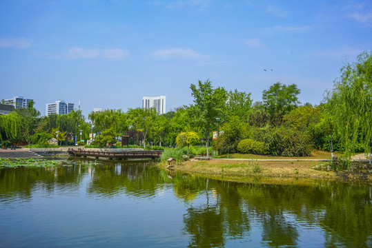天津南翠屏公園水景