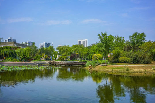 天津南翠屏公園水景