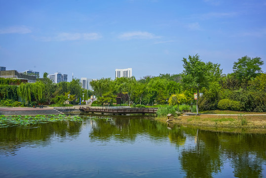天津南翠屏公園水景