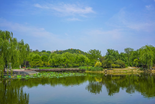 天津南翠屏公園水景