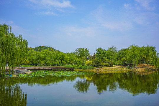 天津南翠屏公園水景
