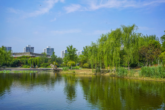 天津南翠屏公園水景