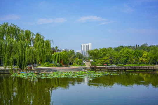 天津南翠屏公園水景
