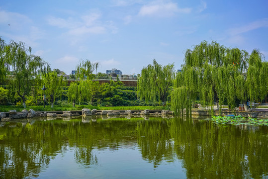 天津南翠屏公園水景