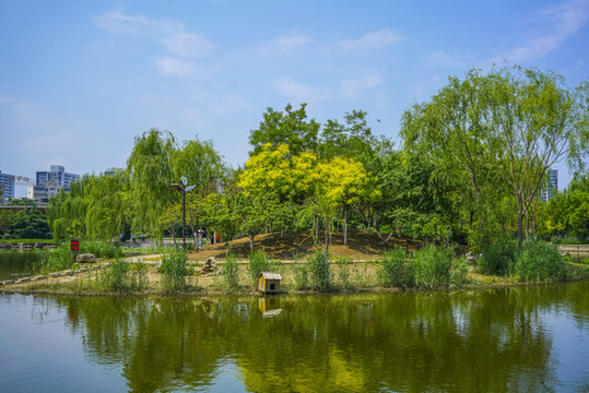 天津南翠屏公園小島