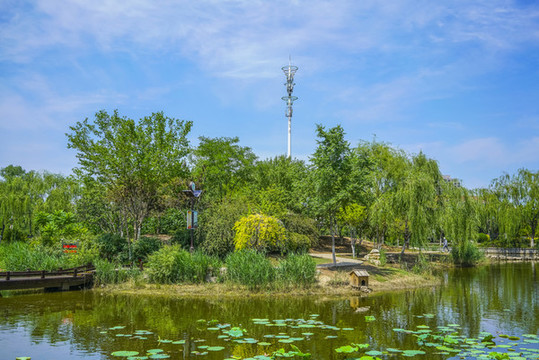 天津南翠屏公園小島