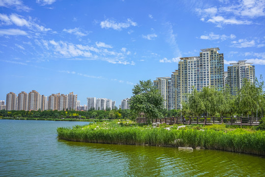 城市住宅樓景觀