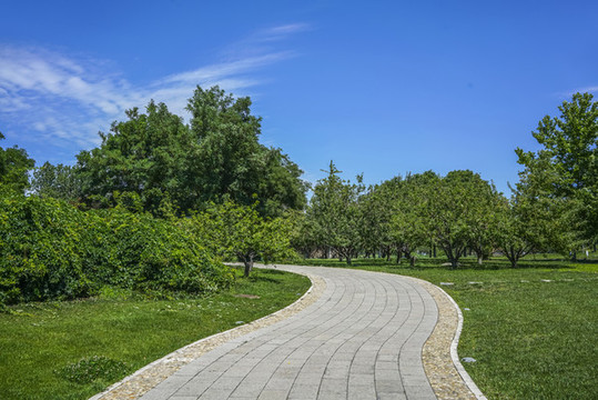 文化中心園林小路