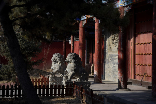 呼和浩特市大召無量寺