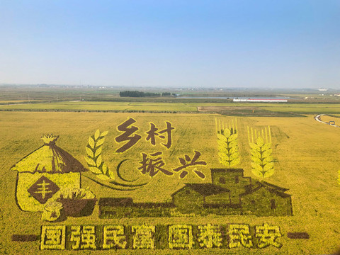 墾利永安稻田畫(huà)