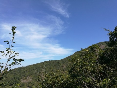 美麗景色