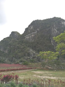 美麗景色