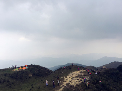 美麗景色