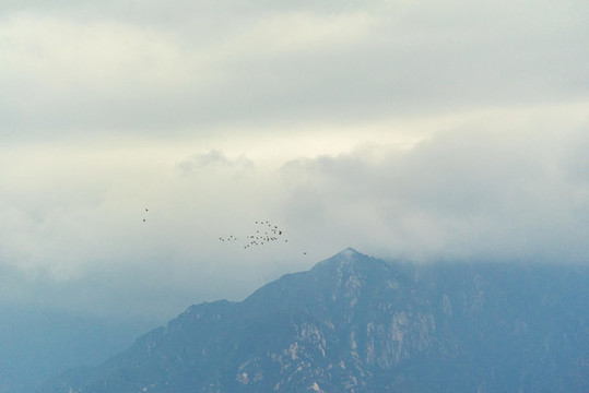 郊野