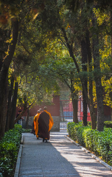 洛陽市白馬寺景區(qū)