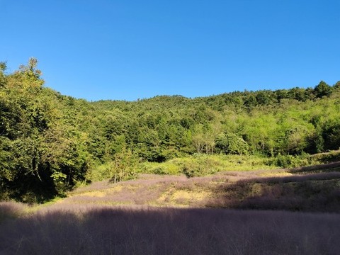 鄉(xiāng)村旅游