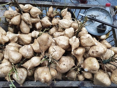 賣(mài)涼薯