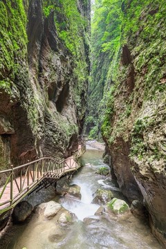 會(huì)澤大地縫