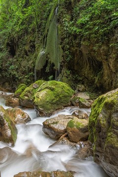會(huì)澤大地縫