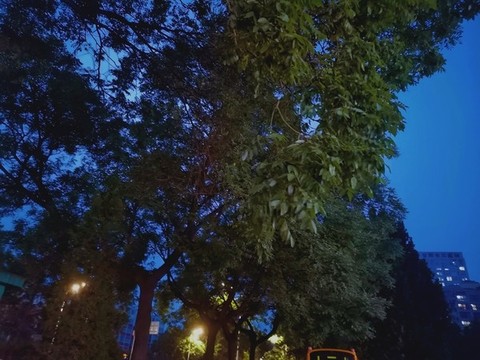 夜空