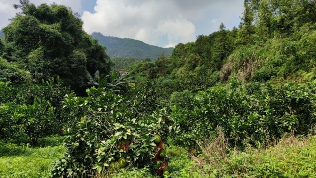 山谷