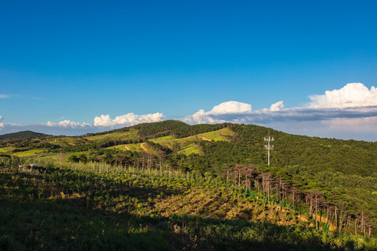 藍(lán)天白云下山坡原野