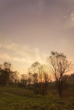 早晨