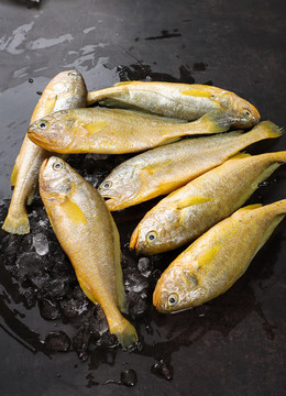 黃花魚