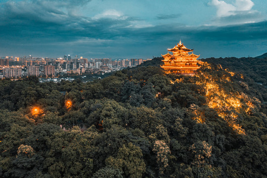 杭州城隍閣夜景