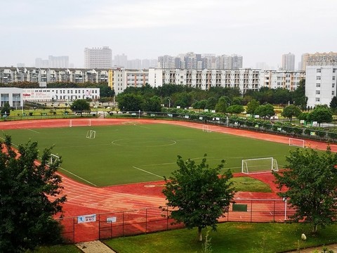 足球場