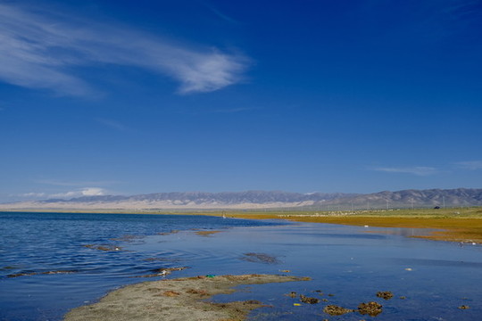 青海湖