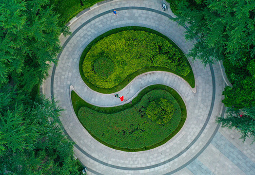 公園太極圖