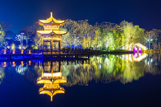 宜都市枝城鎮(zhèn)西湖公園夜景
