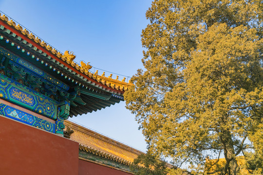 中國北京故宮博物院建筑