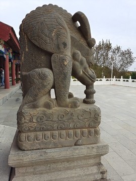 吸水獸