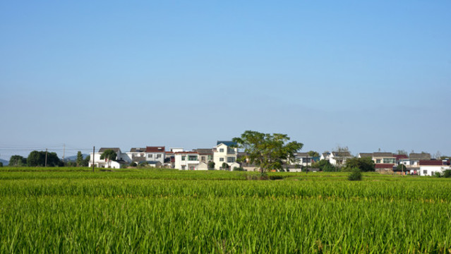 田園風(fēng)光
