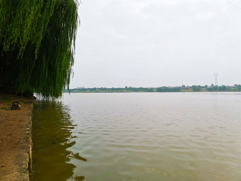 洛河灘