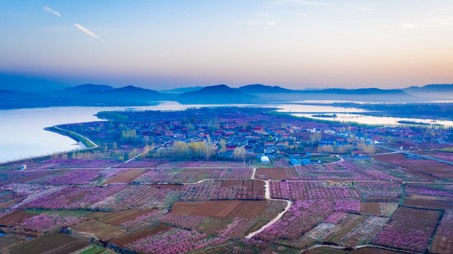 云蒙湖桃花
