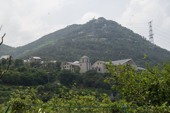 龍嶺山