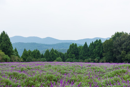 四川德陽中國香山旅游景區(qū)