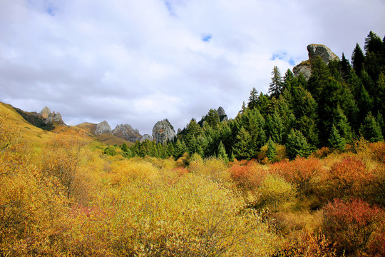 碌曲縣則岔石林旅游景區(qū)