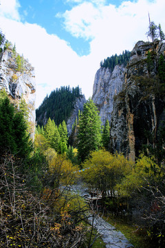 碌曲縣則岔石林旅游景區(qū)