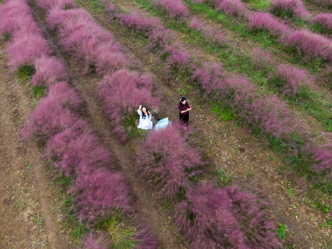 山東即墨臺(tái)子村