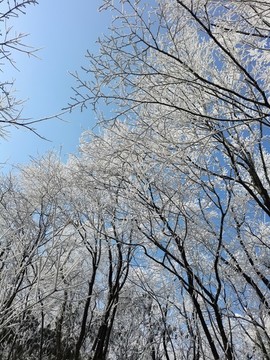 張家界天門山雪景