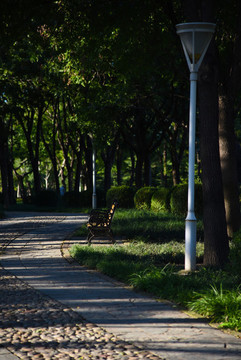 公園里幽靜的小路
